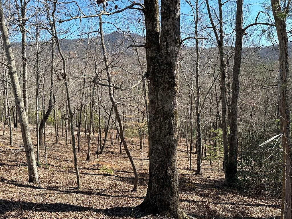 Lot 11 Asheland Cove Property Photo