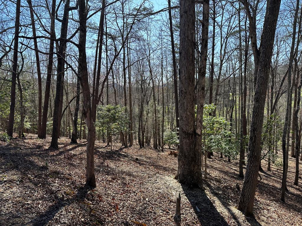 Lot 40 Asheland Cove Property Photo