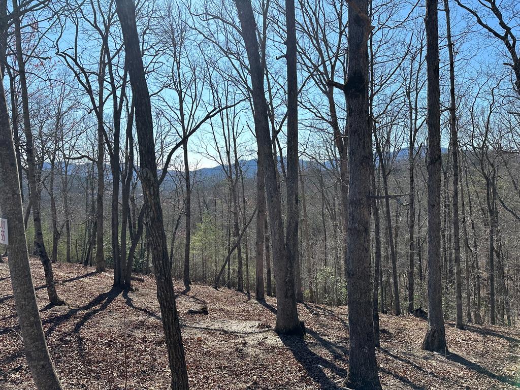 Lot 55 Asheland Cove Property Photo