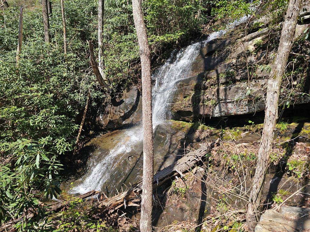 0 Davis Creek Rd Property Photo