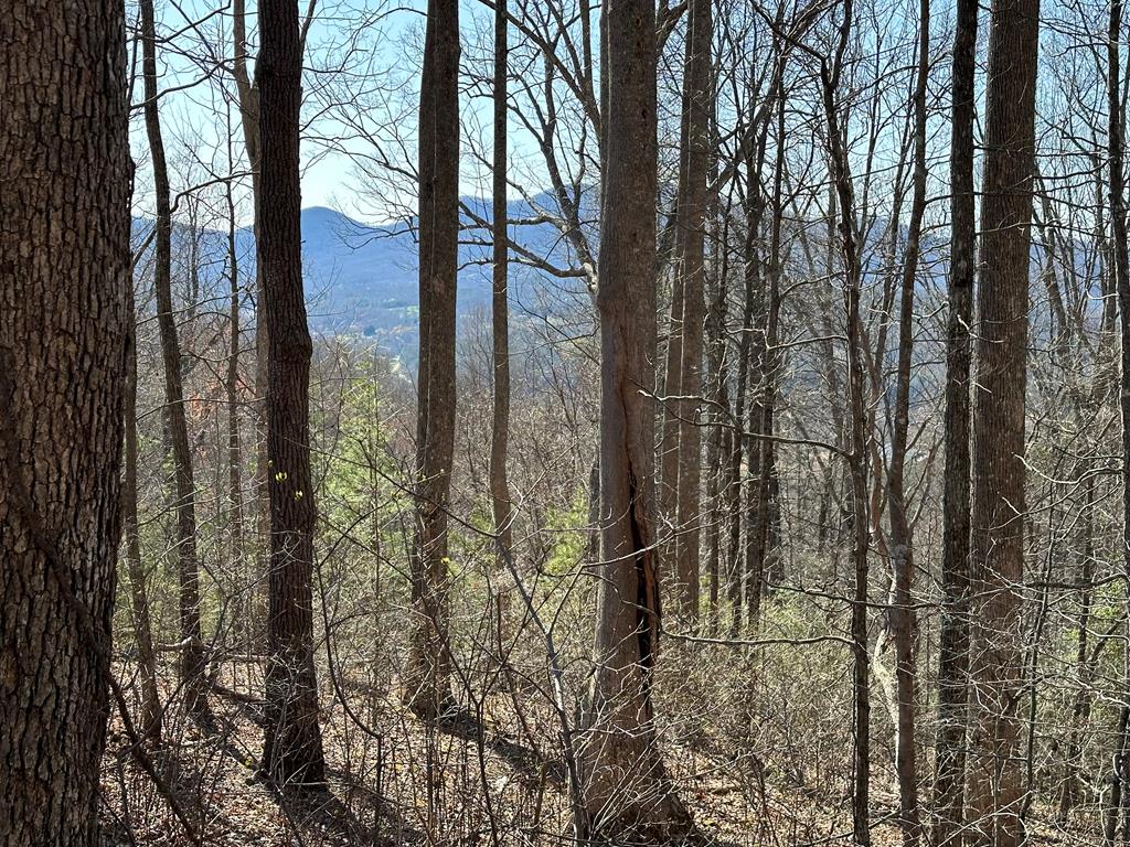 Lot 80 Asheland Cove Property Photo