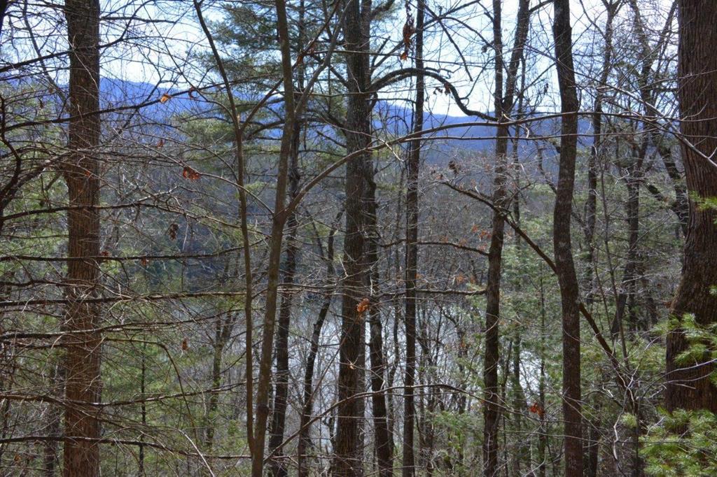 Graham County Schools Real Estate Listings Main Image