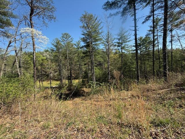 Lt 29a&b Cabernet Way Property Photo