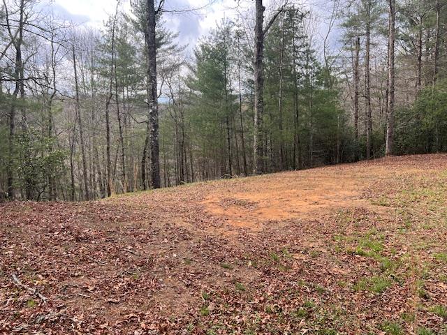 2035 Lower Tuskeegee Road Property Photo
