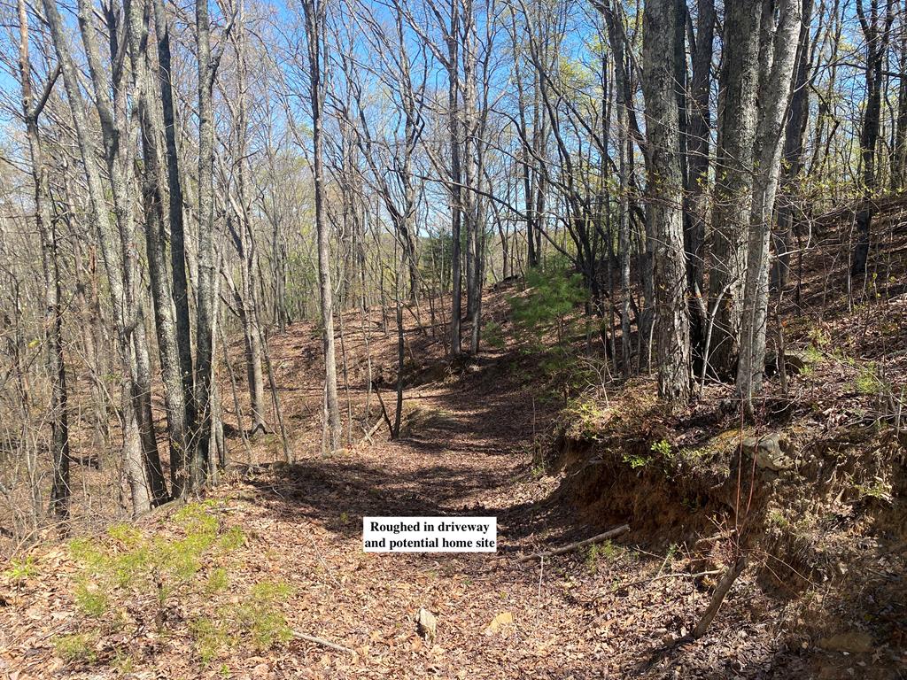 Lot 57 Majestic View Run Property Photo