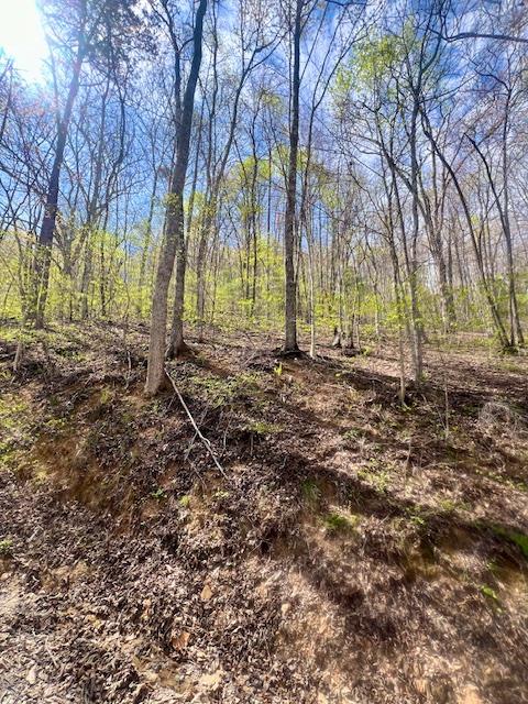 00 Gunter Hollow Property Photo
