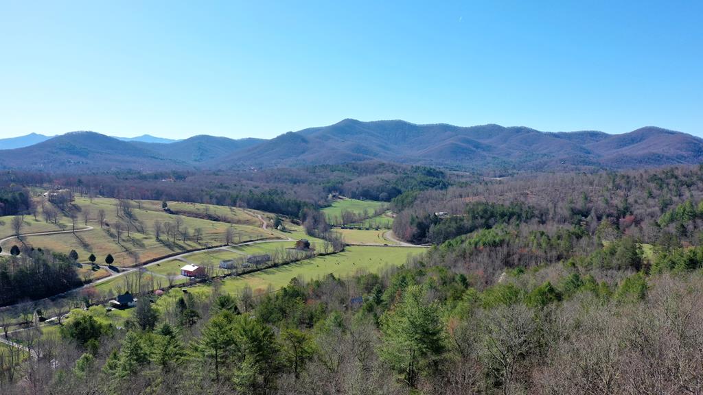 0000 Pine Log Road Property Photo