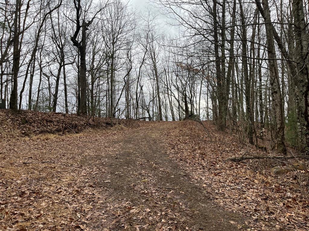 19 Lots Crockett Mountain Property Photo