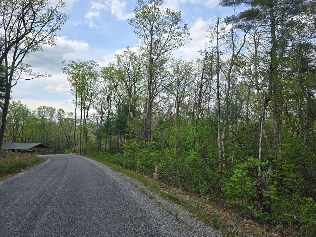 Lot 10 Kennedys Court Property Photo