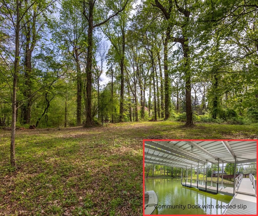 Lot 1 Cypress Pointe Lane Property Photo