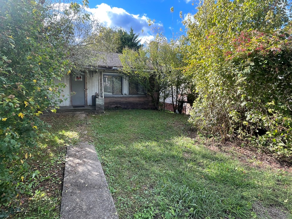 228 Circle Street Property Photo 5