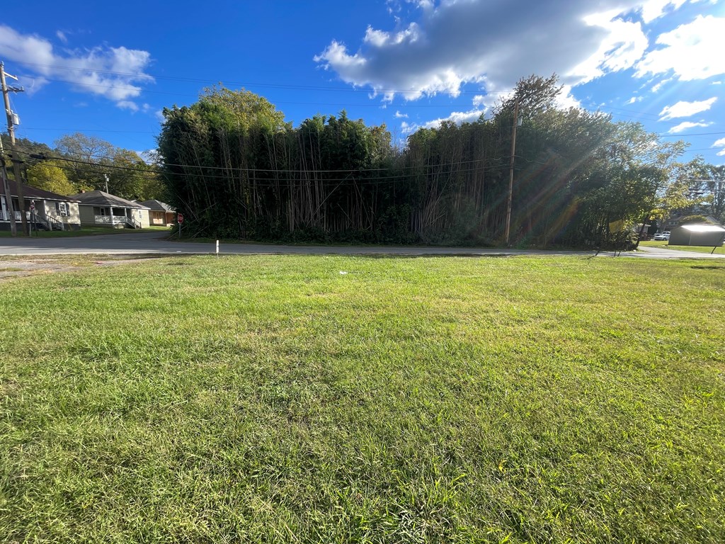 228 Circle Street Property Photo 15