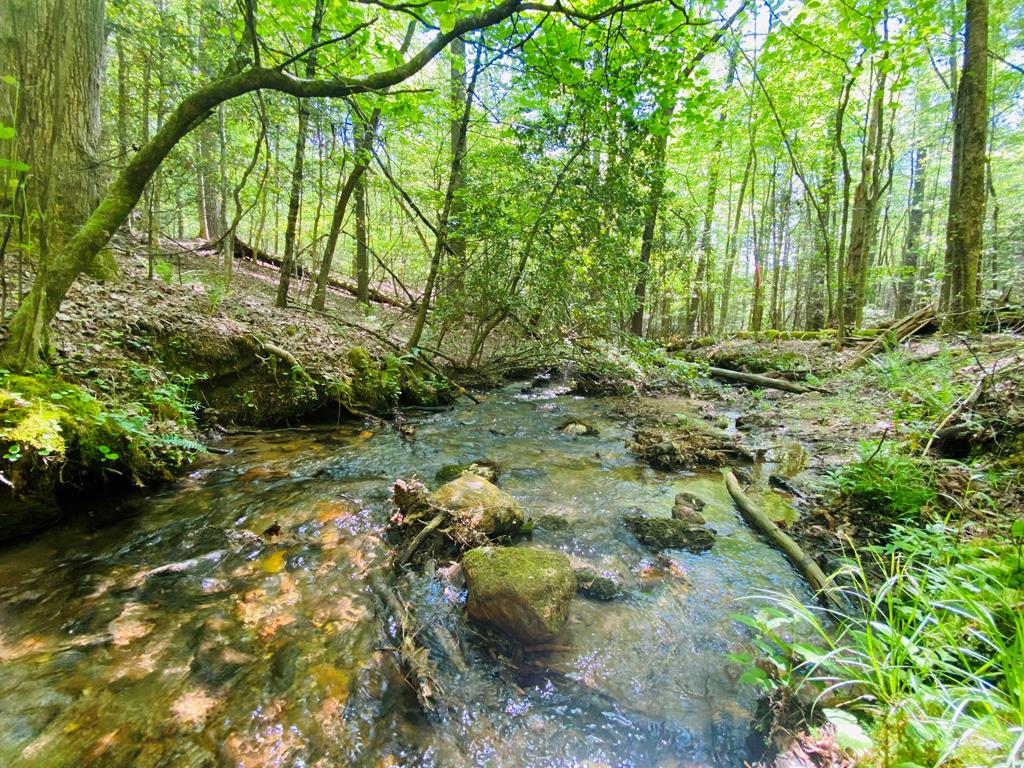 Lot 17 Atoah Loop Property Photo 1