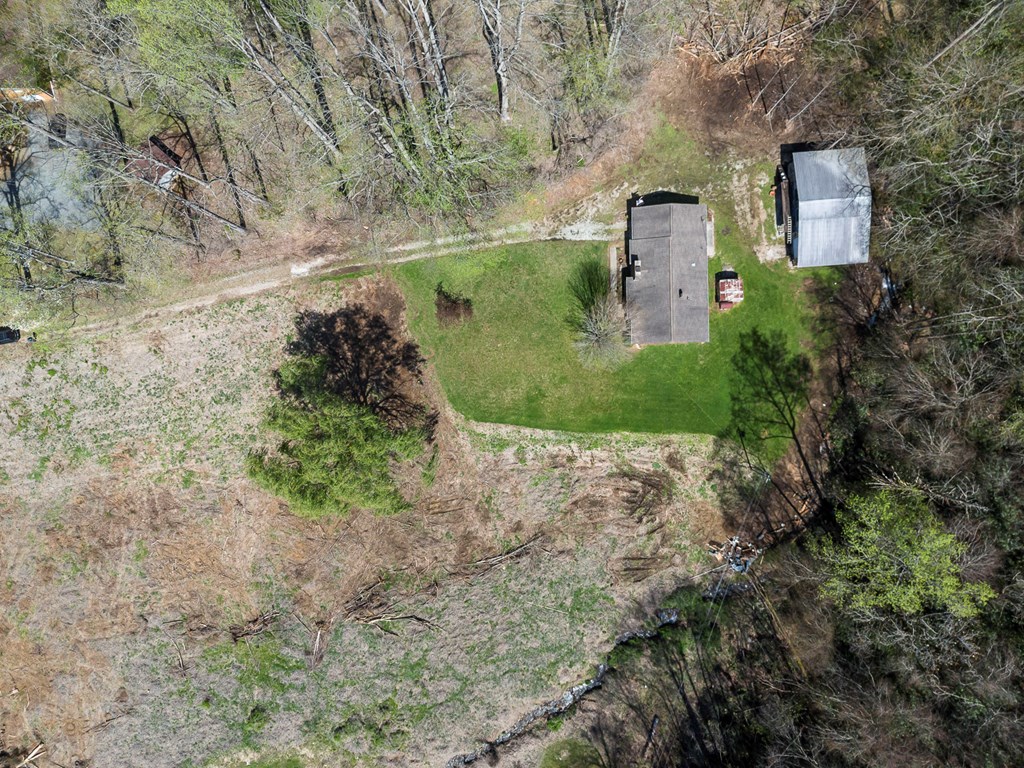 22540 Us Hwy 19 Property Photo 6
