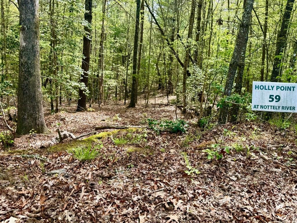 2.07 Ac Rainy Farm Road Property Photo 1