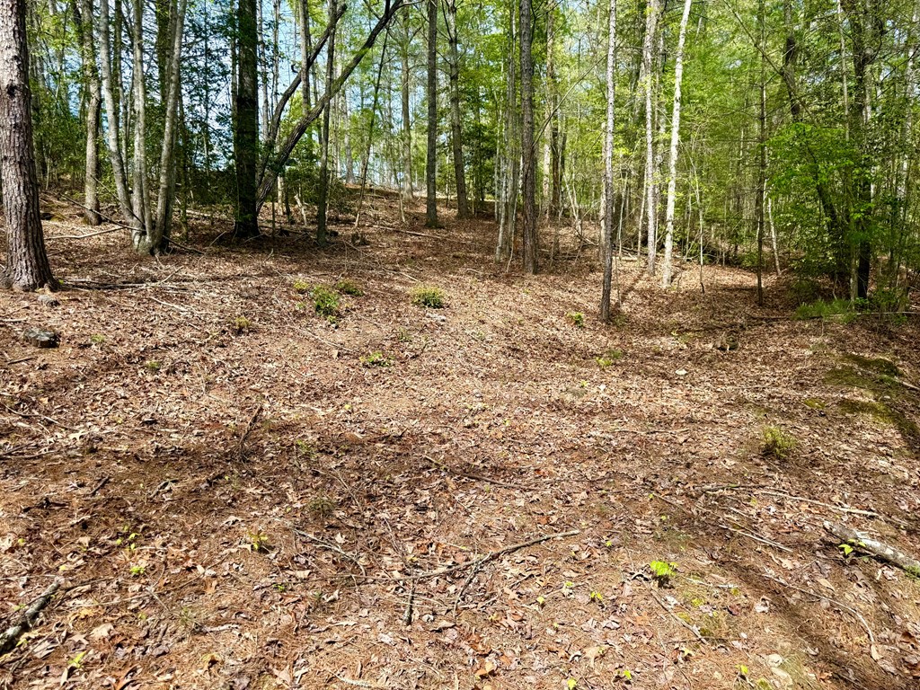 2.07 Ac Rainy Farm Road Property Photo 5
