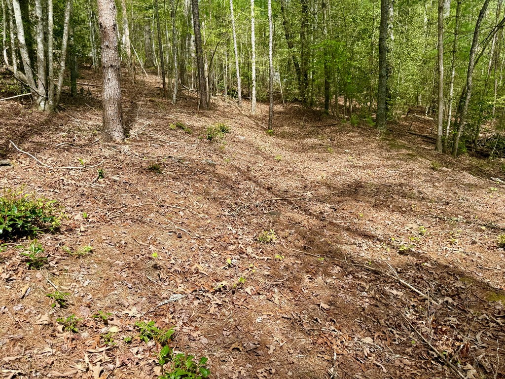 2.07 Ac Rainy Farm Road Property Photo 9