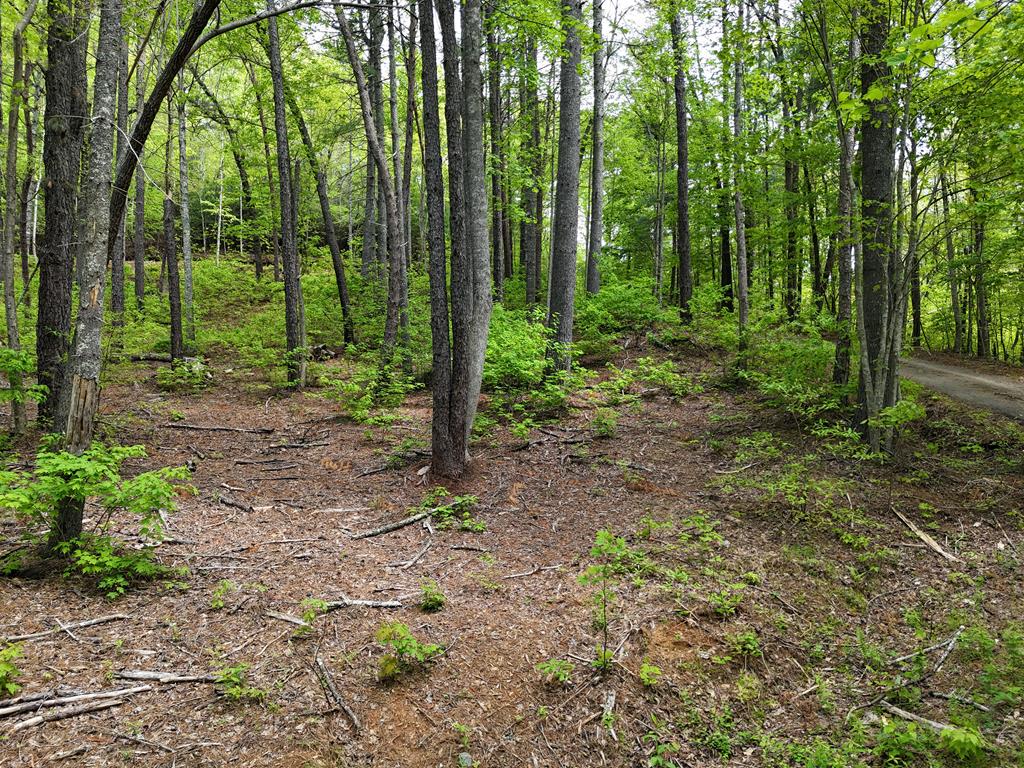 Tract 3c Riverside Drive Property Photo 1