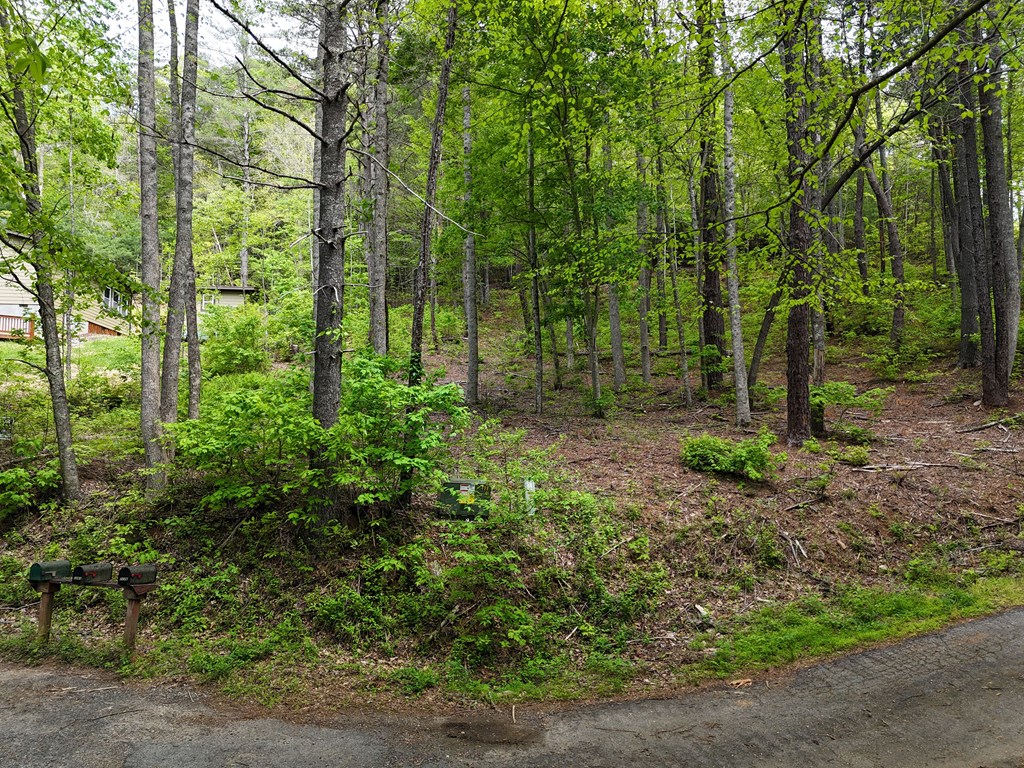 Tract 3c Riverside Drive Property Photo 5