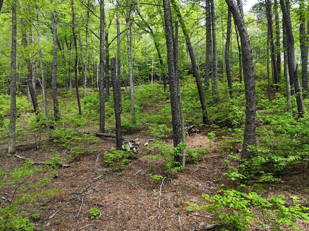 Tract 3c Riverside Drive Property Photo 6