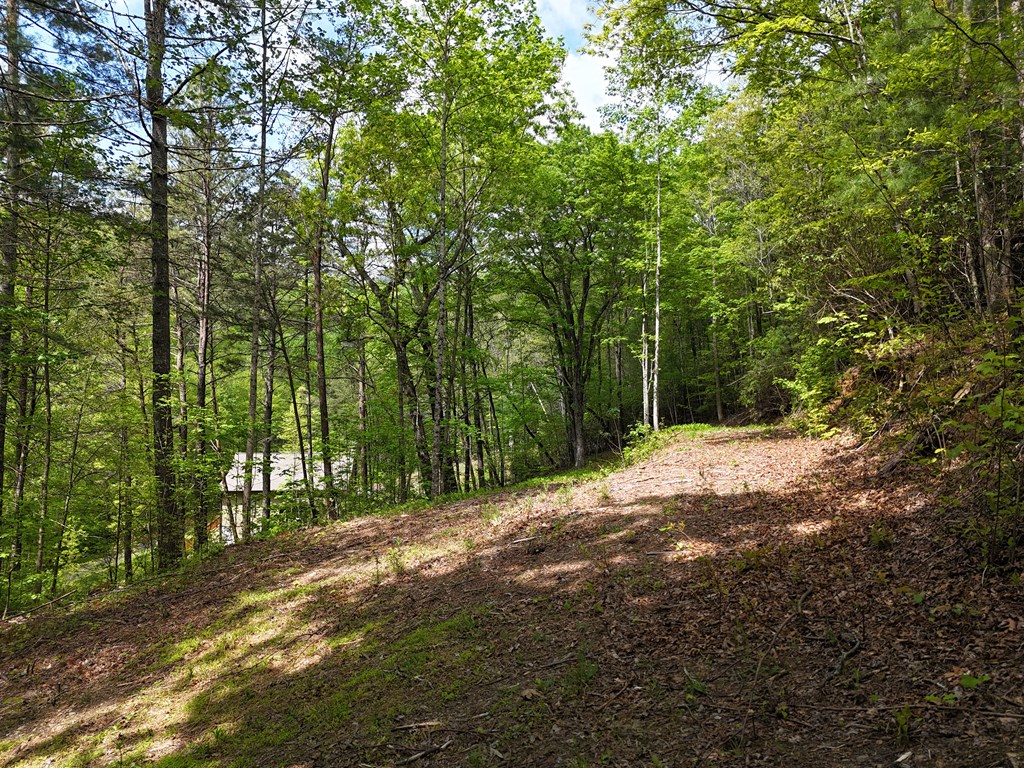Tract 3c Riverside Drive Property Photo 10
