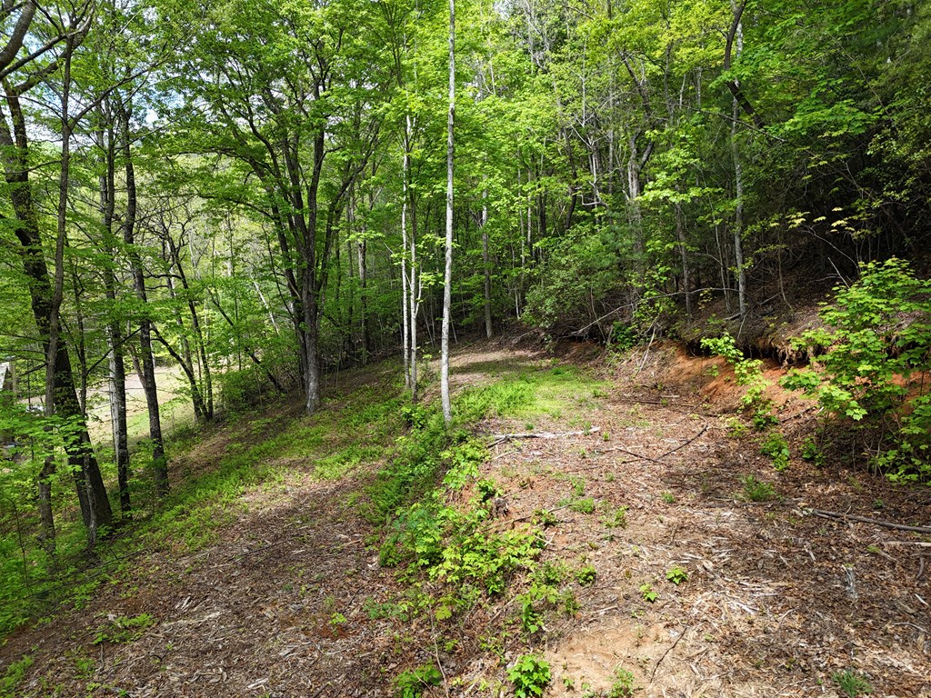Tract 3c Riverside Drive Property Photo 11