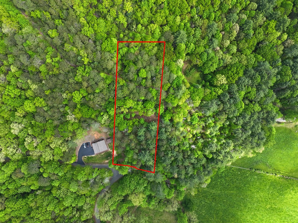Tract 3c Riverside Drive Property Photo 12