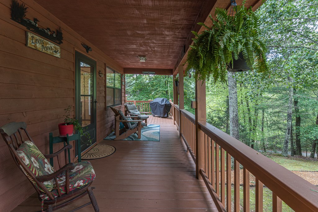 186 Brasstown Hills Rd Property Photo 4