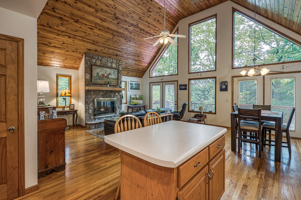 186 Brasstown Hills Rd Property Photo 11