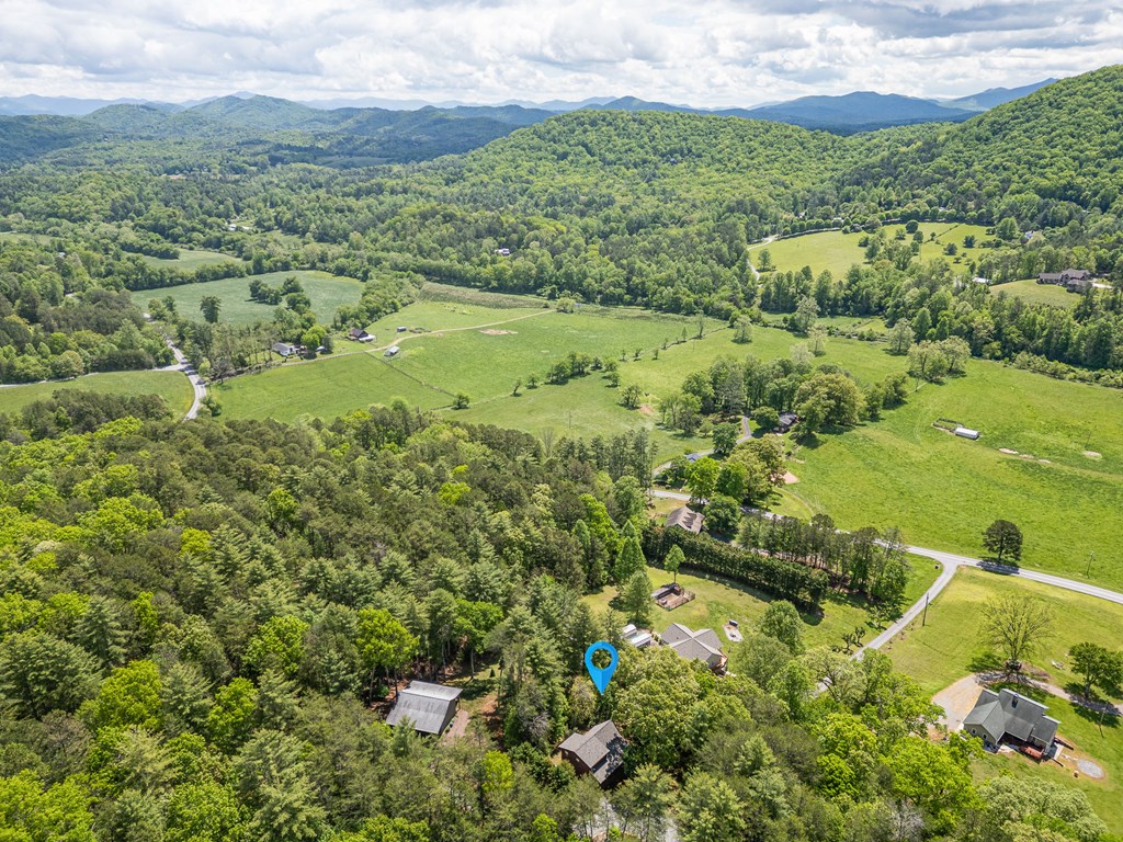 186 Brasstown Hills Rd Property Photo 48