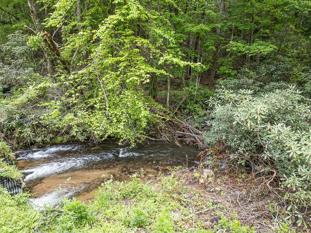 20561 Joe Brown Highway Property Photo