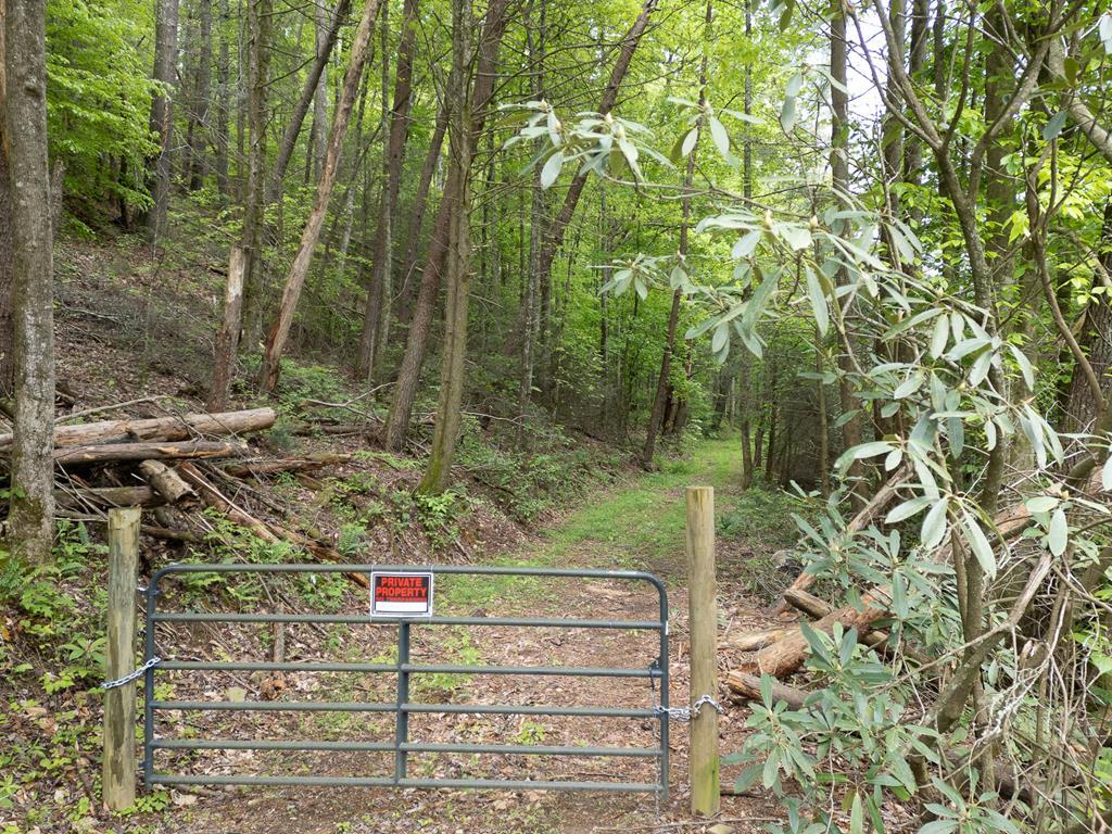 20561 Joe Brown Highway Property Photo 2