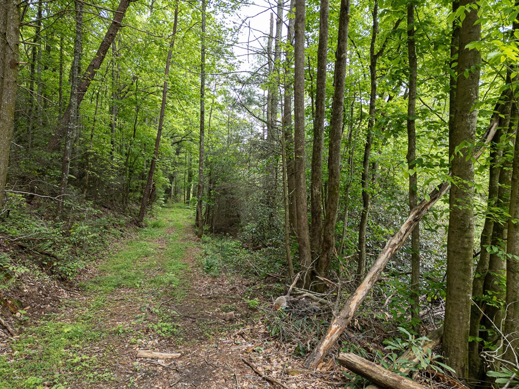 20561 Joe Brown Highway Property Photo 3