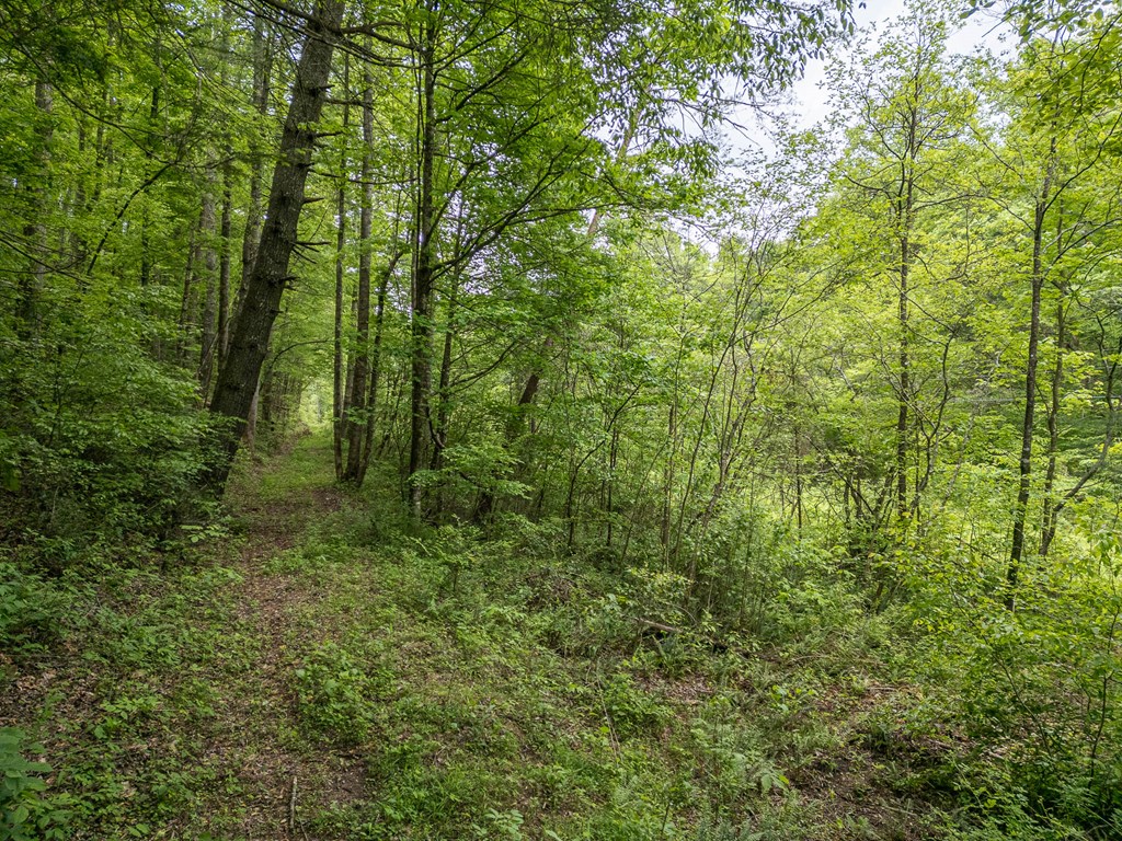 20561 Joe Brown Highway Property Photo 4