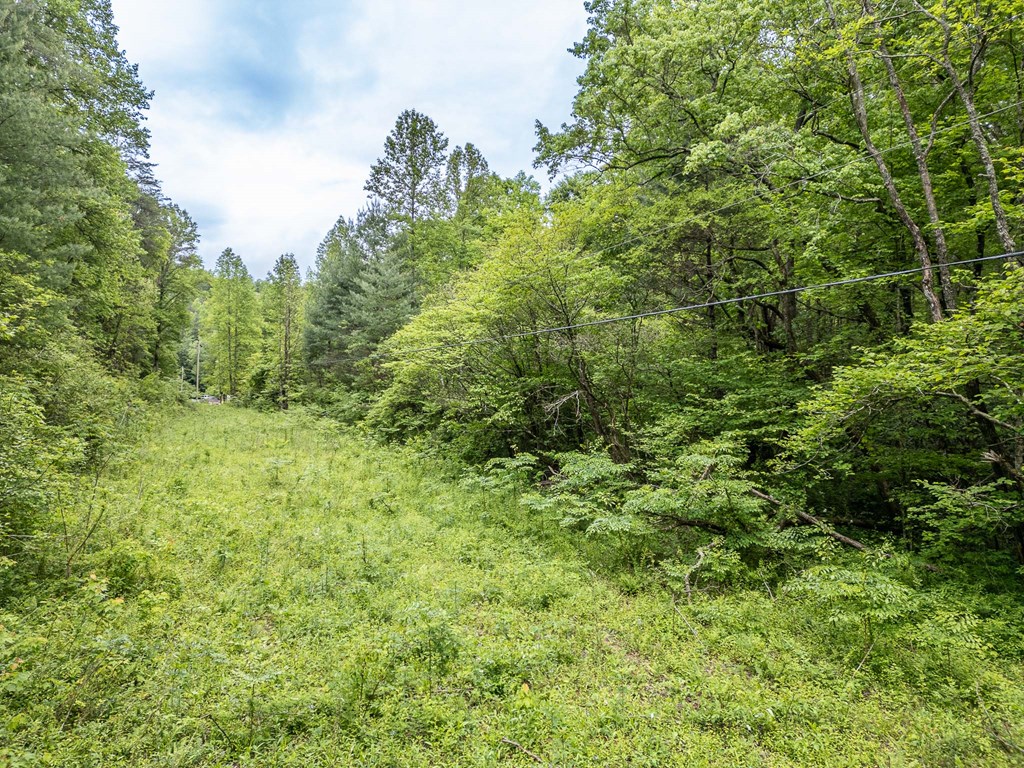 20561 Joe Brown Highway Property Photo 5