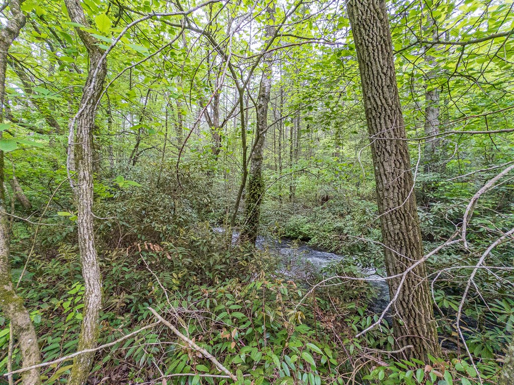 20561 Joe Brown Highway Property Photo 7