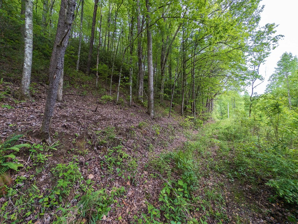 20561 Joe Brown Highway Property Photo 9