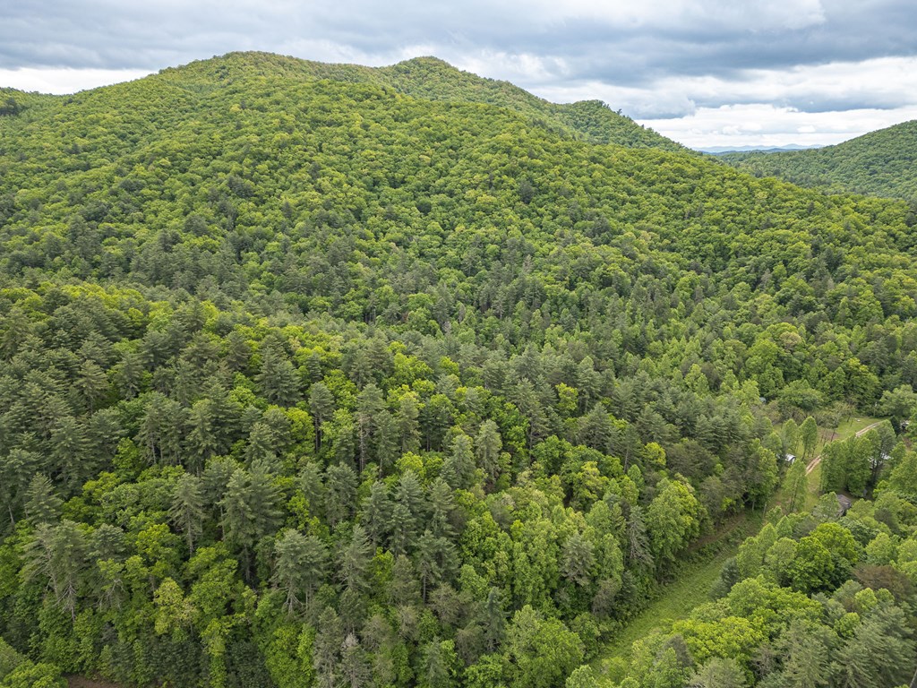 20561 Joe Brown Highway Property Photo 11