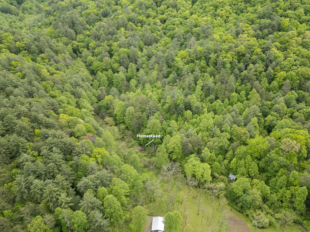 20561 Joe Brown Highway Property Photo 12
