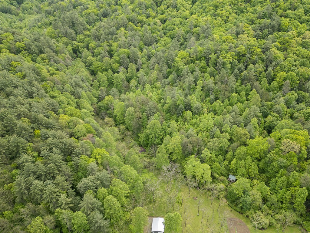 20561 Joe Brown Highway Property Photo 13