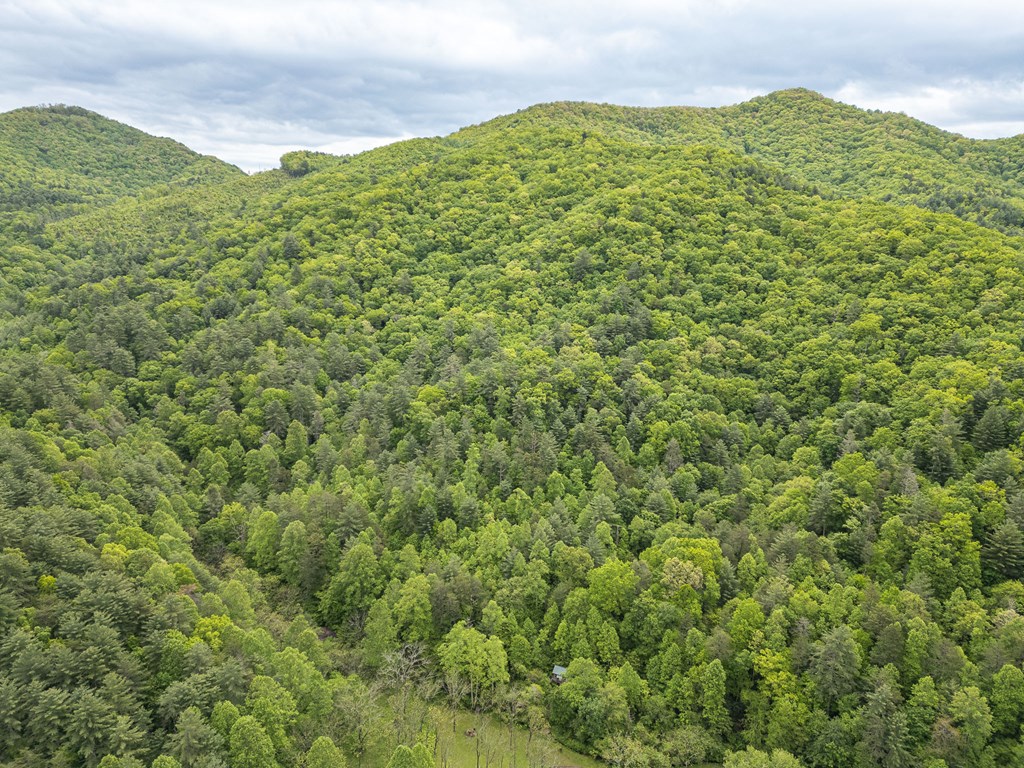 20561 Joe Brown Highway Property Photo 14