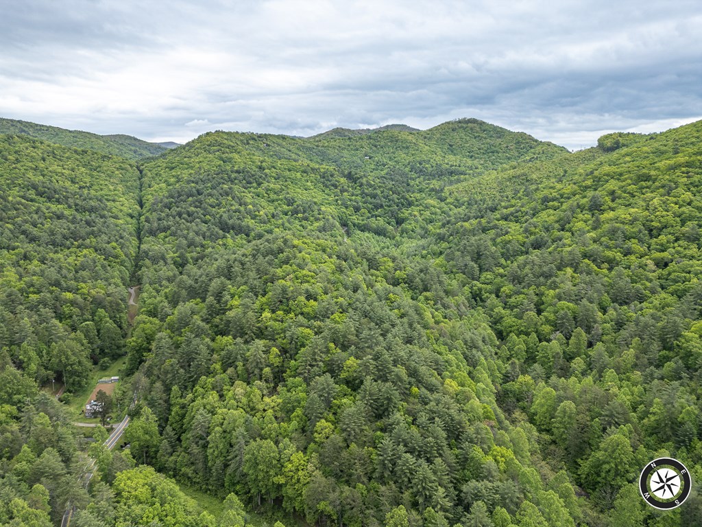 20561 Joe Brown Highway Property Photo 15