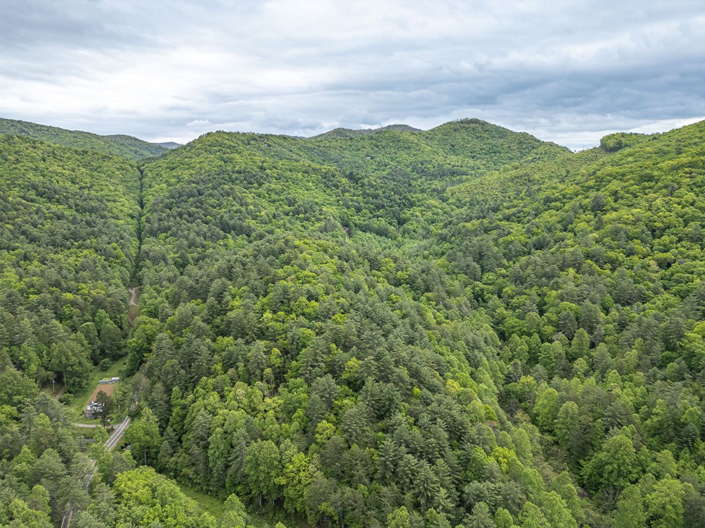 20561 Joe Brown Highway Property Photo 16