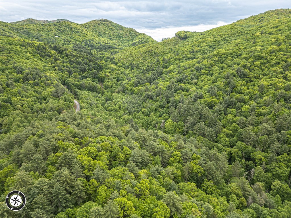 20561 Joe Brown Highway Property Photo 17