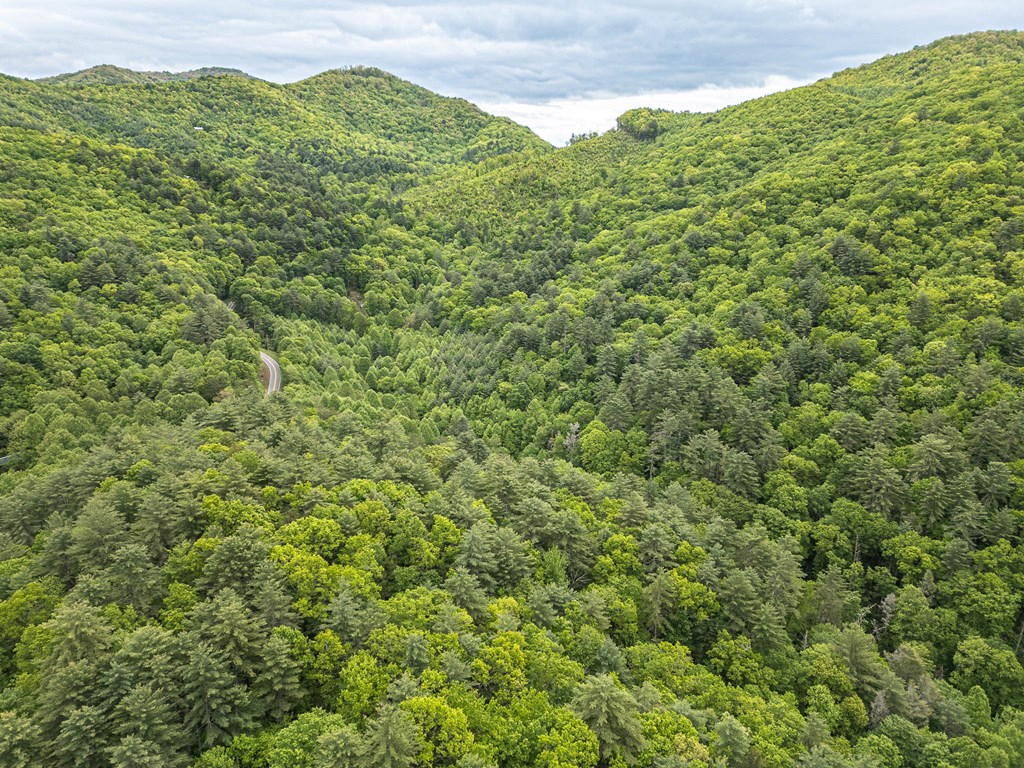 20561 Joe Brown Highway Property Photo 18