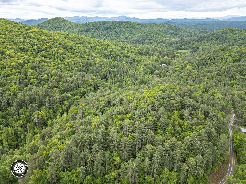 20561 Joe Brown Highway Property Photo 19