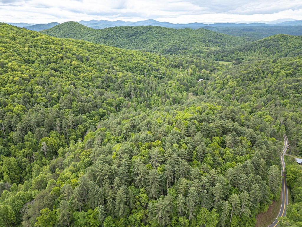 20561 Joe Brown Highway Property Photo 20