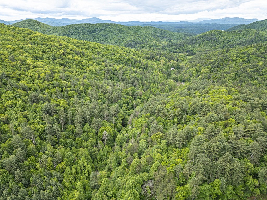 20561 Joe Brown Highway Property Photo 21