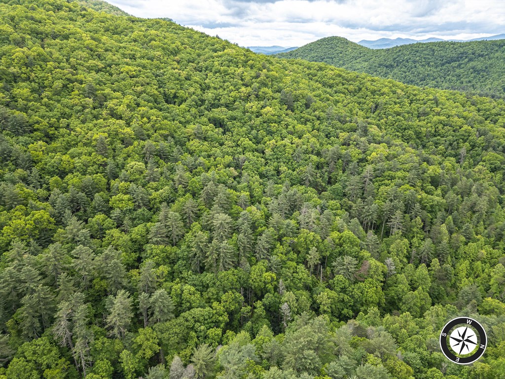 20561 Joe Brown Highway Property Photo 22