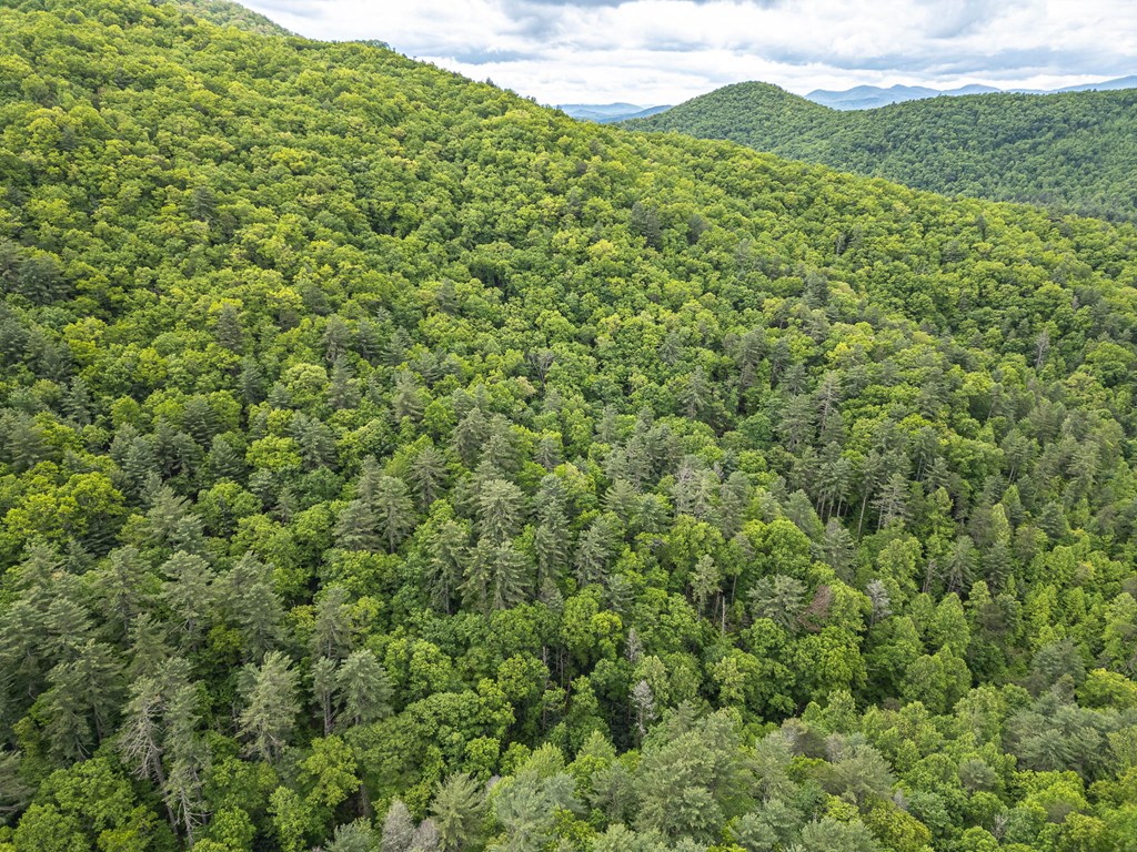 20561 Joe Brown Highway Property Photo 23